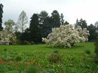 weinheim_hermannshof_23