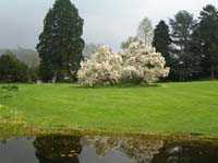weinheim_hermannshof_27