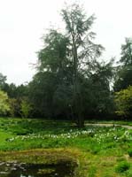 weinheim_hermannshof_31