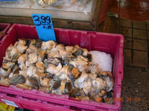 ny_chinatown02