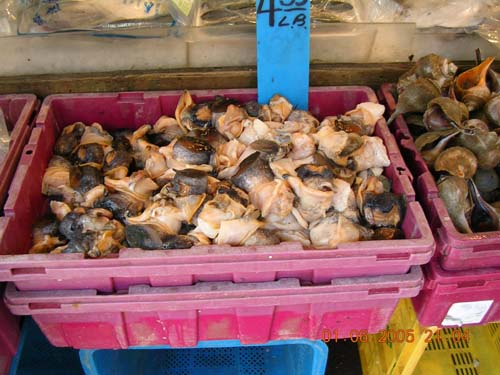 ny_chinatown04