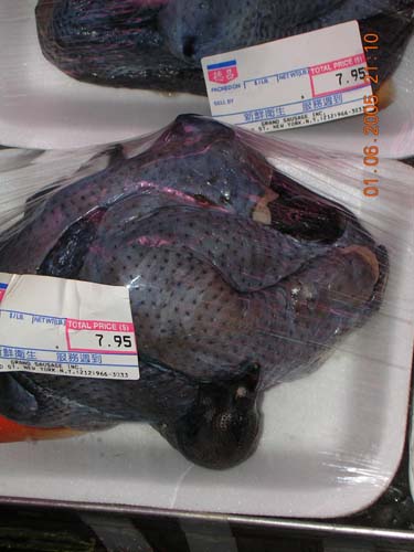 ny_chinatown06