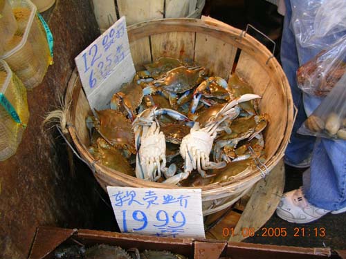 ny_chinatown07