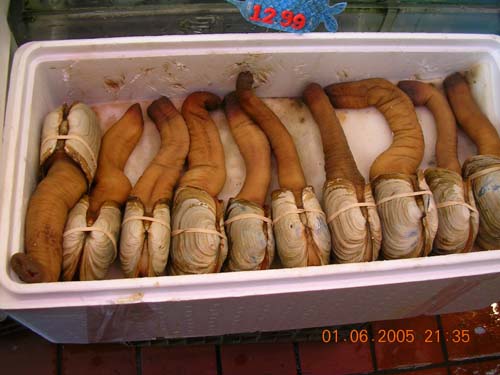 ny_chinatown14